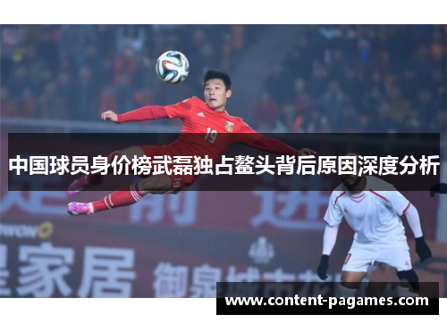 中国球员身价榜武磊独占鳌头背后原因深度分析 中国球员身价榜武磊独占鳌头背后原因深度分析