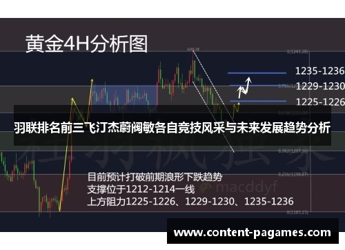 羽联排名前三飞汀杰蔚阀敏各自竞技风采与未来发展趋势分析 羽联排名前三飞汀杰蔚阀敏各自竞技风采与未来发展趋势分析