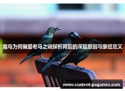 魔鸟为何偏爱老马之谜探析背后的深层原因与象征意义